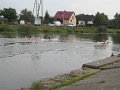 IMG_1786